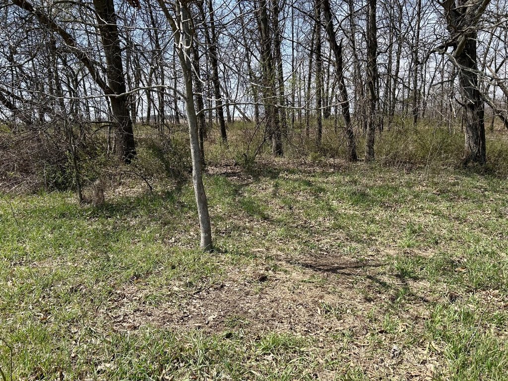Picture 47