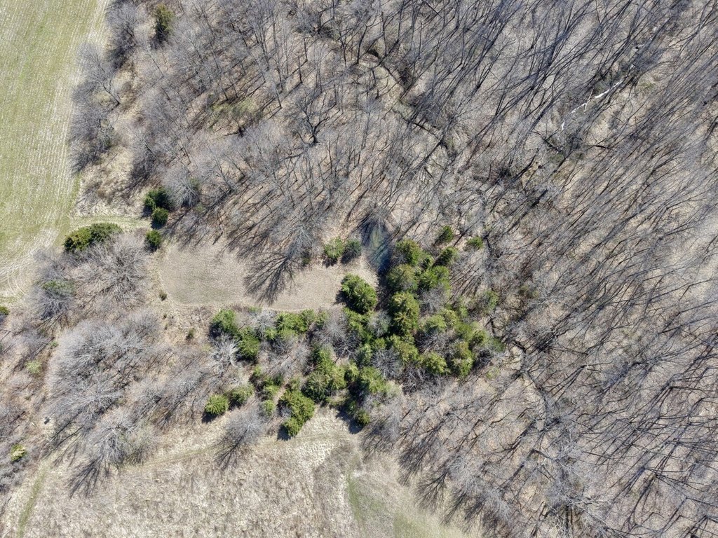 Picture 11