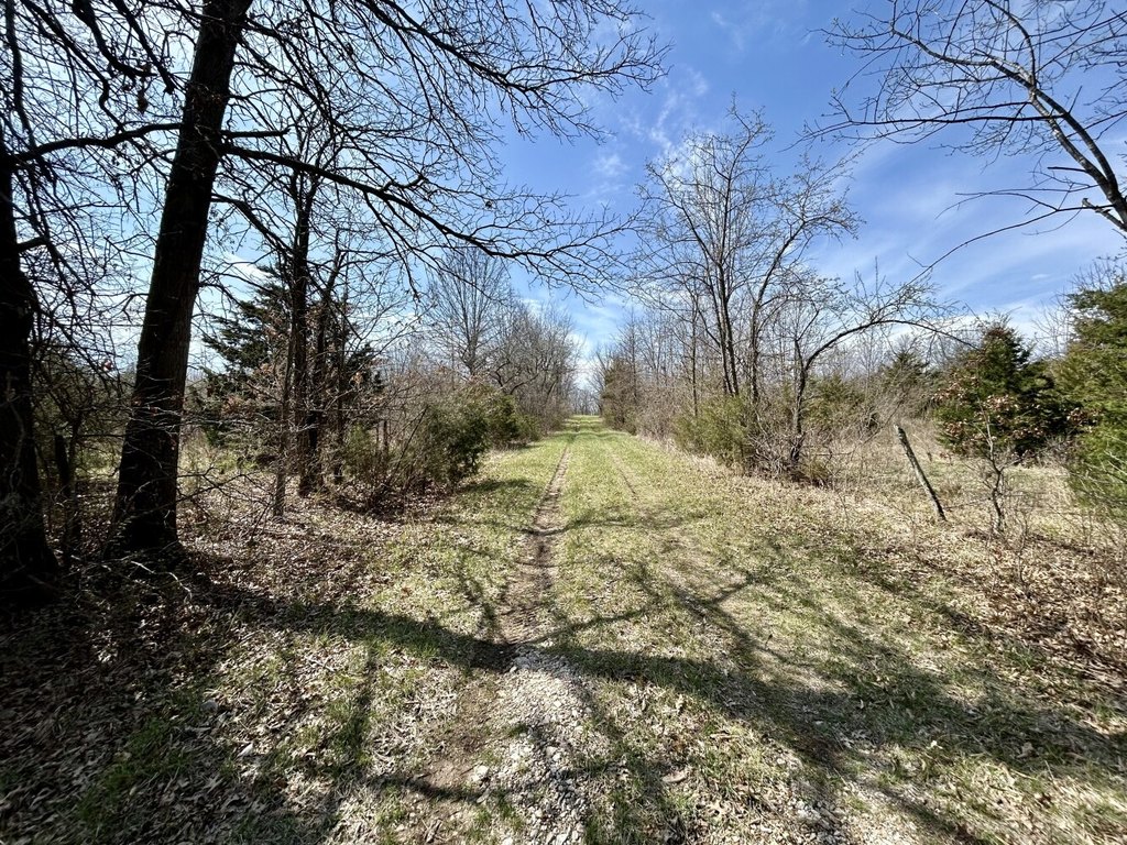 Picture 42