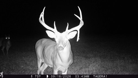 Managed Hunting Land