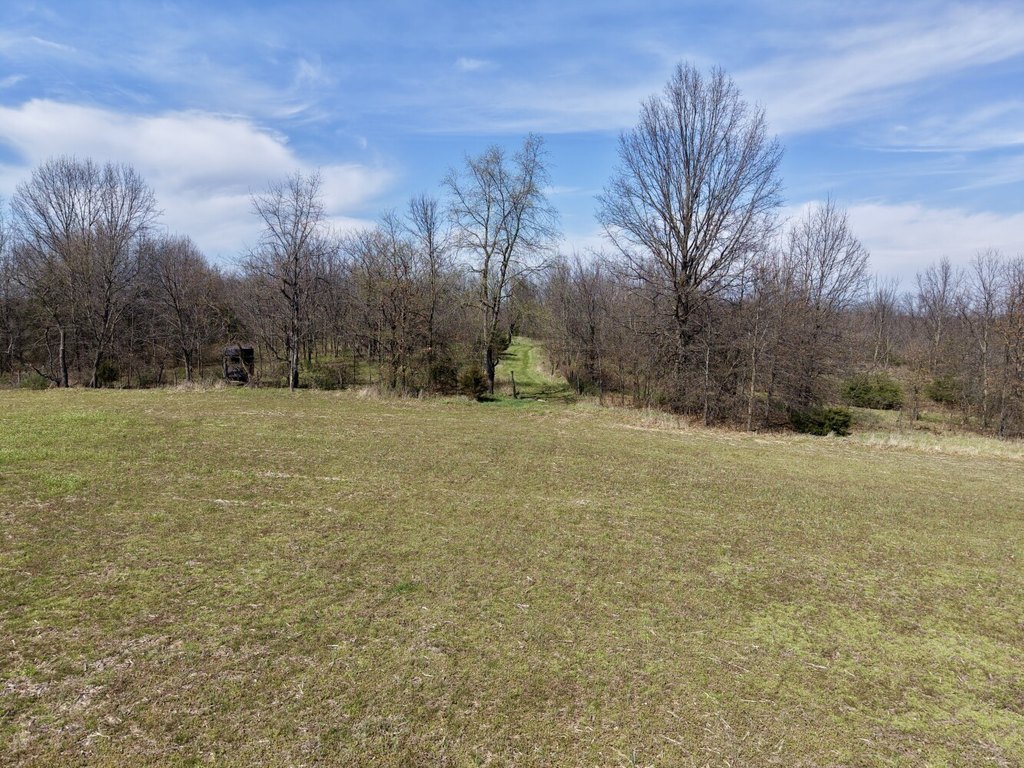 Picture 21