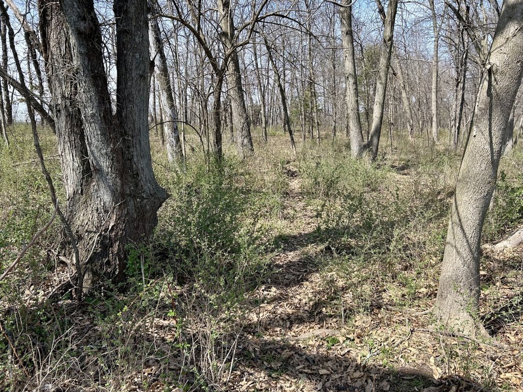 Picture 48