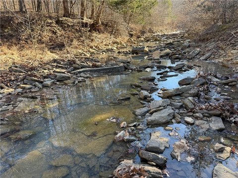 Recreational Land Near Witter, Arkansas