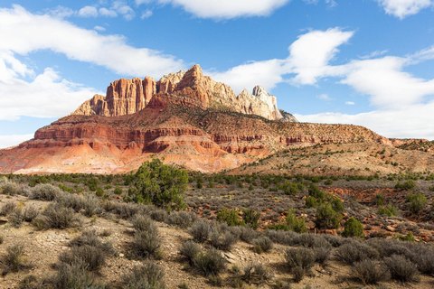 Land with Unobstructed Zion Views