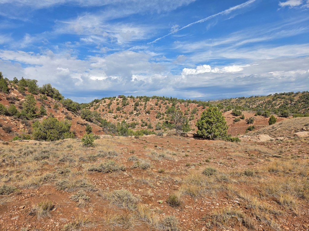 Picture 38