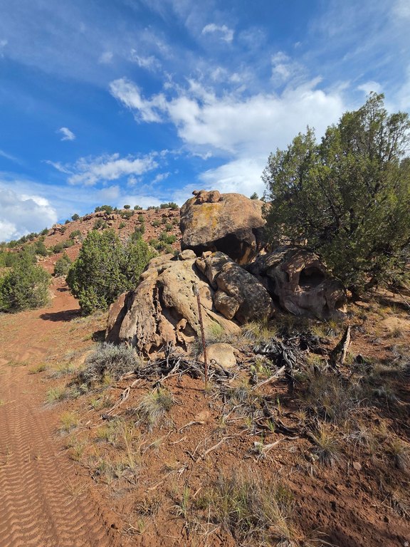 Picture 9