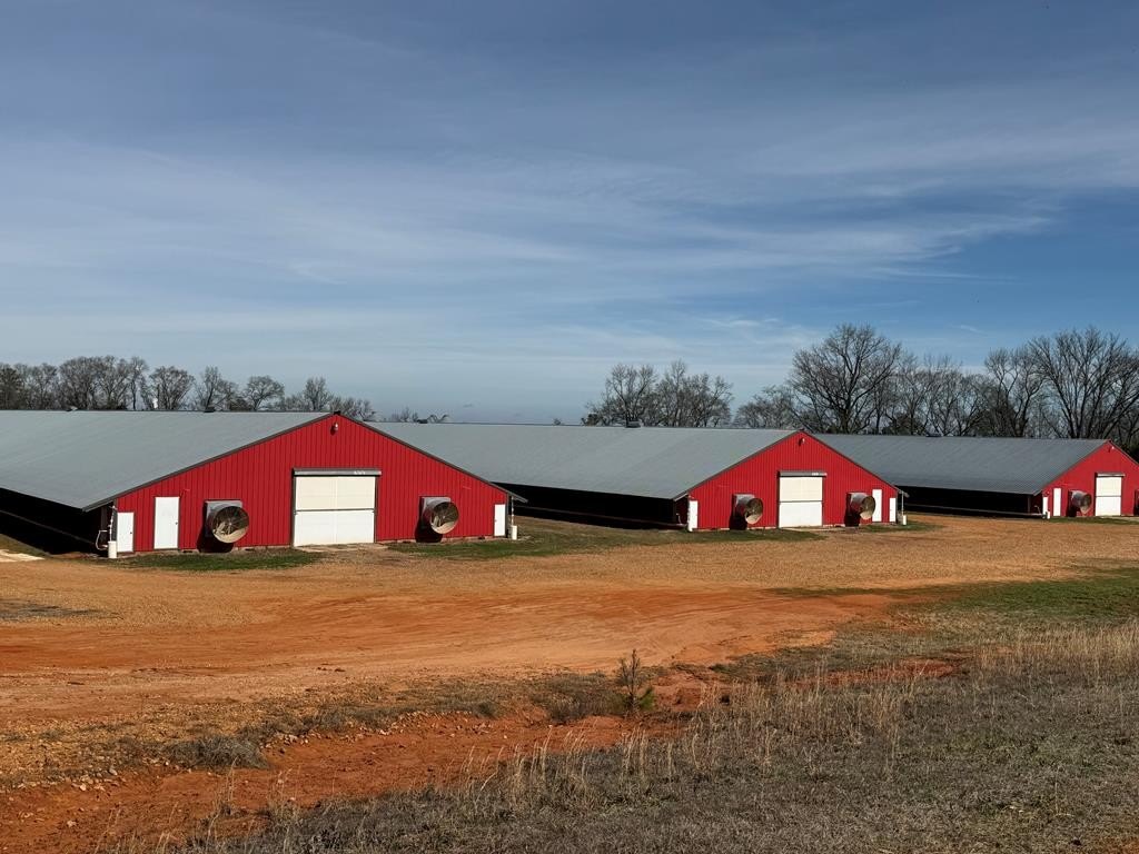 Turnkey Poultry Farm on 30 Acres