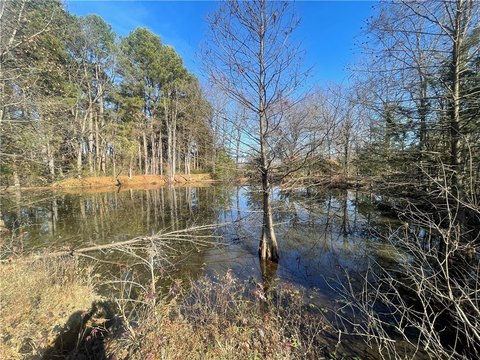 Pasture Land Near Russellville