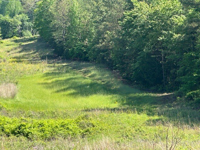 Picture 8