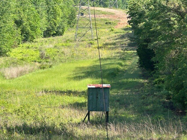 Picture 9