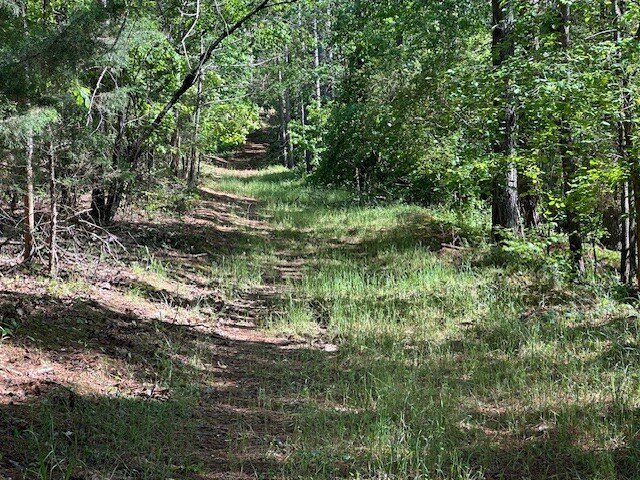 Picture 6