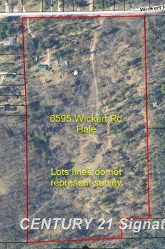 VACANT LAND, Hale, MI