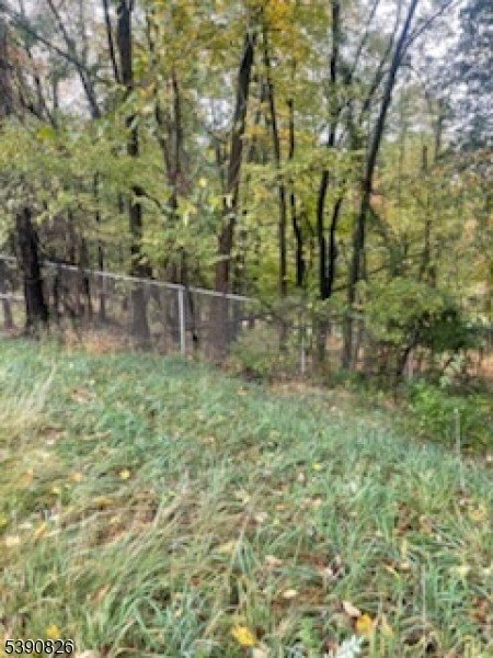 Picture 10