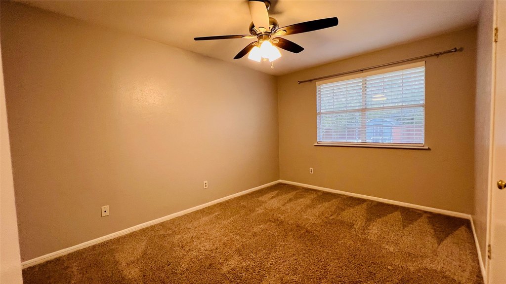 Picture 25