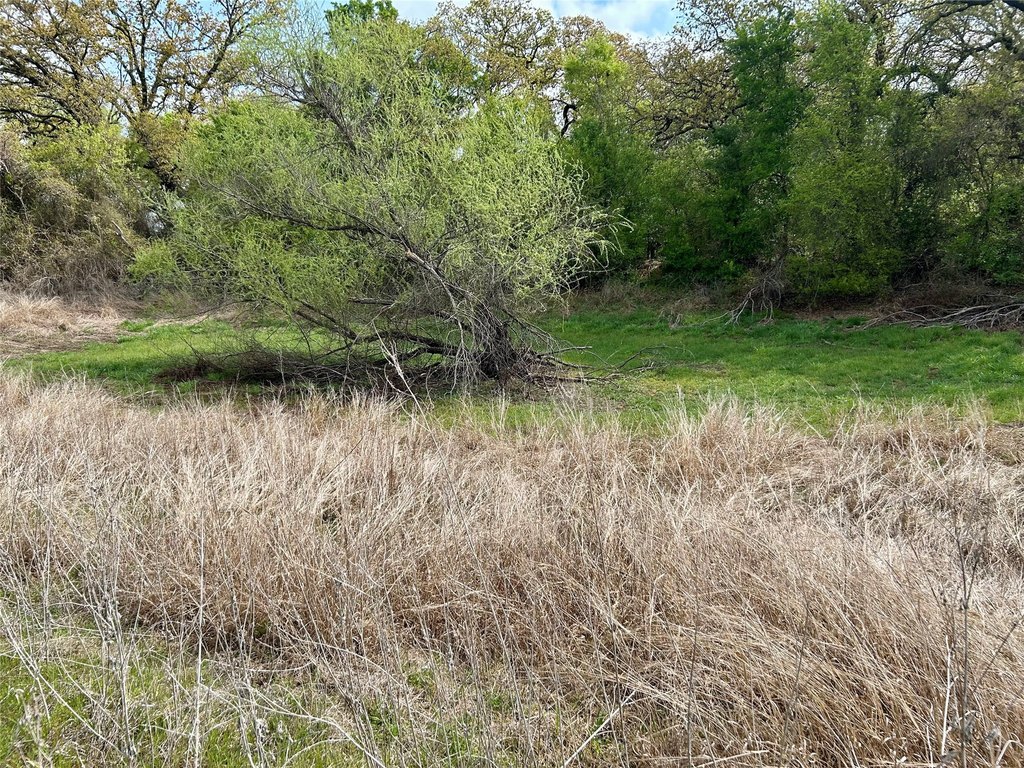 Picture 20
