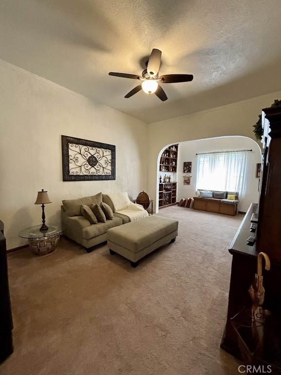 Picture 8
