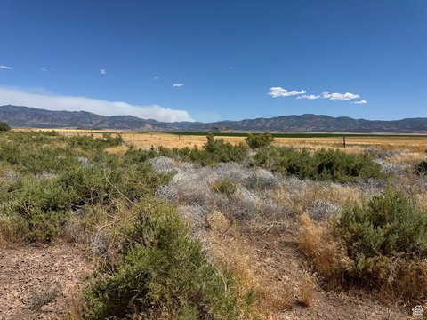 120 Acres Open Range Land