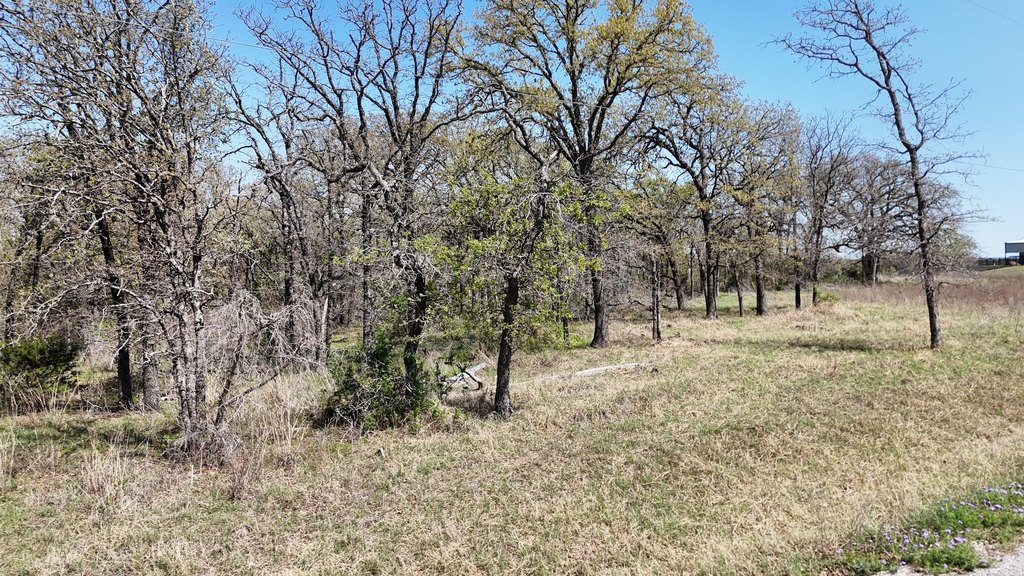 Picture 10