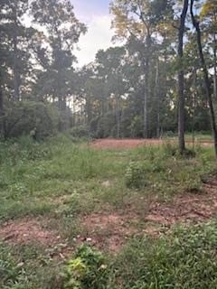 Residential Lot Near Pendleton Bridge