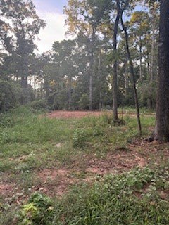 Picture 2