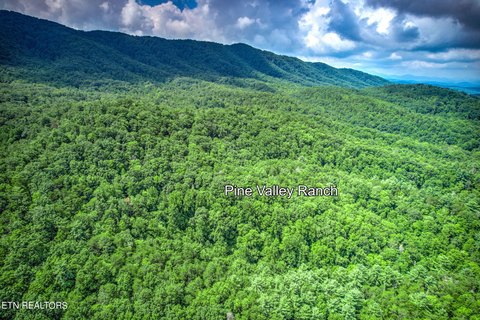 Residential Land in Sevierville, TN