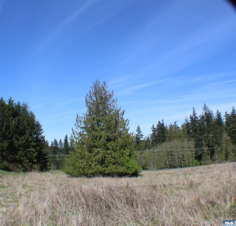 Picture 16