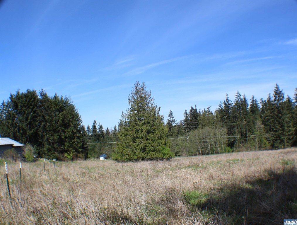 Picture 14