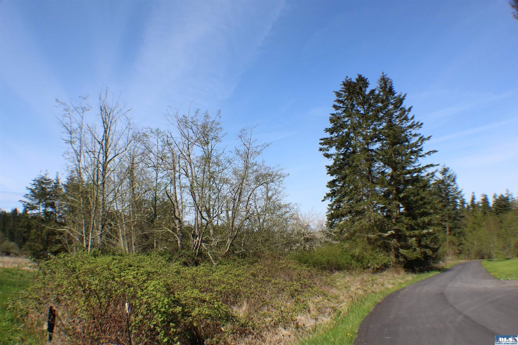 Picture 19