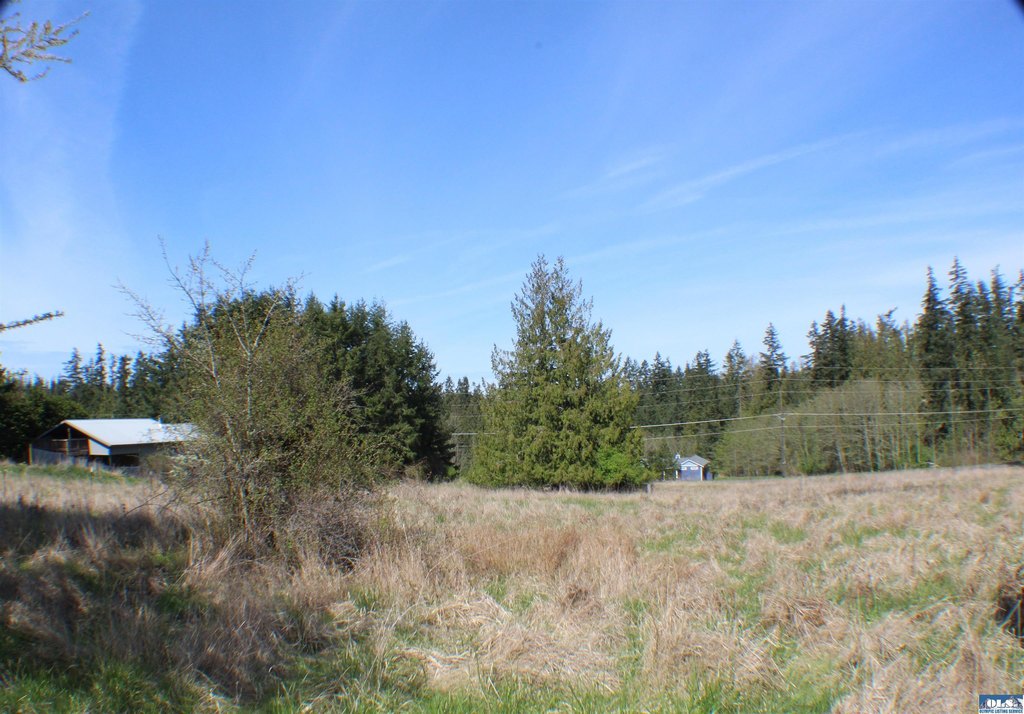 Picture 13
