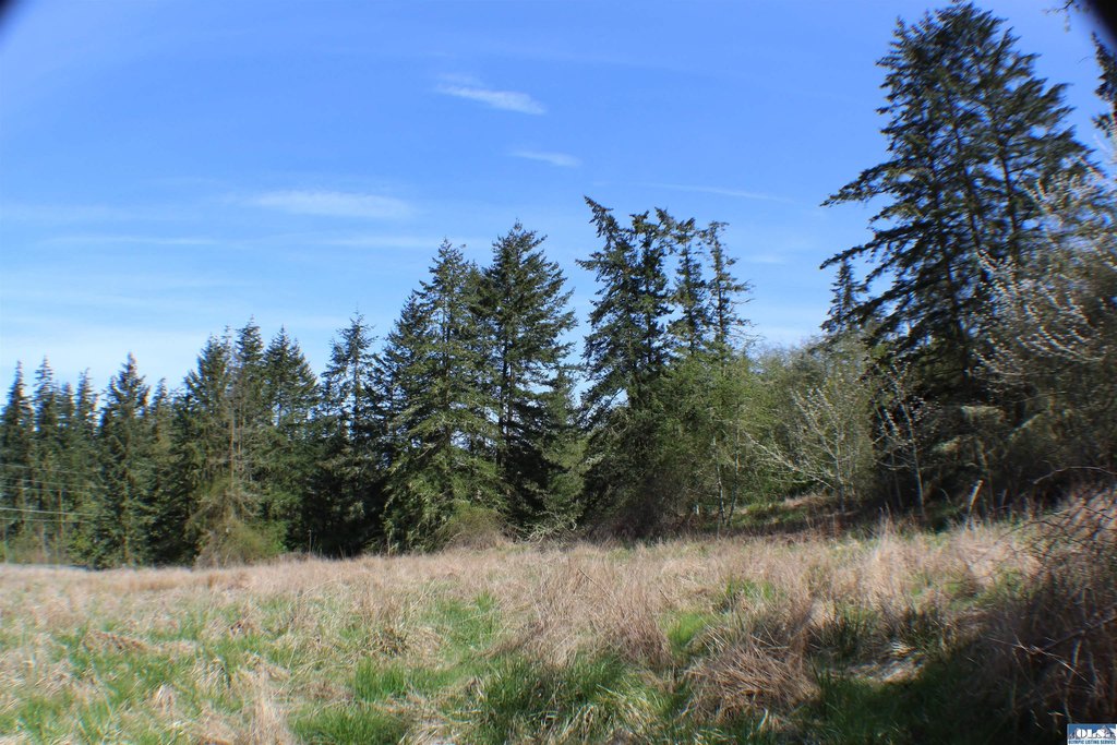 Picture 10