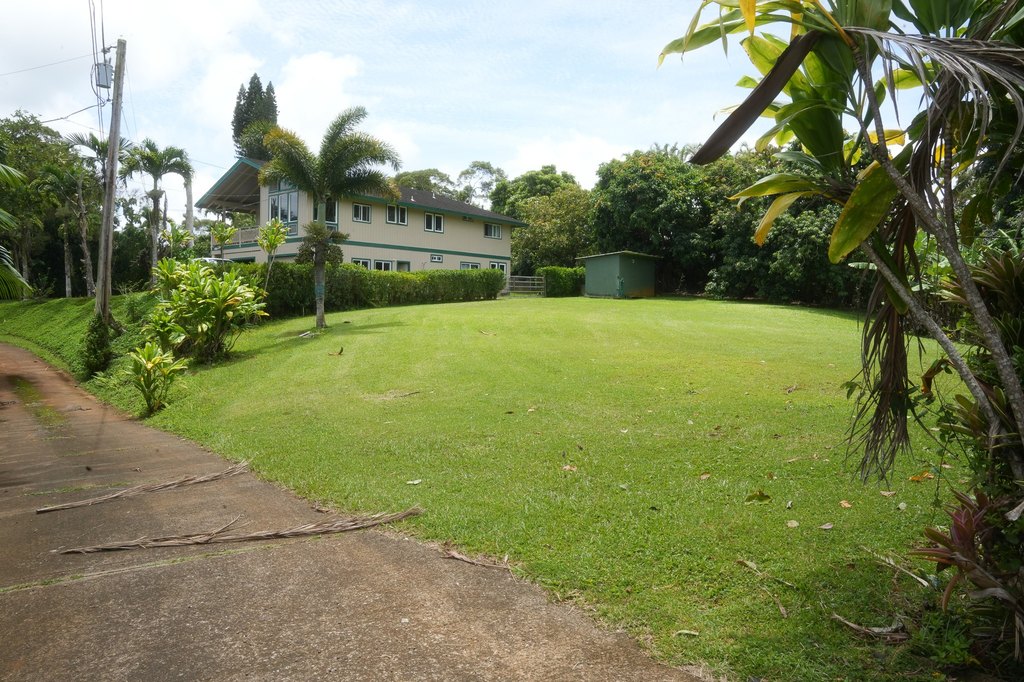 Picture 6