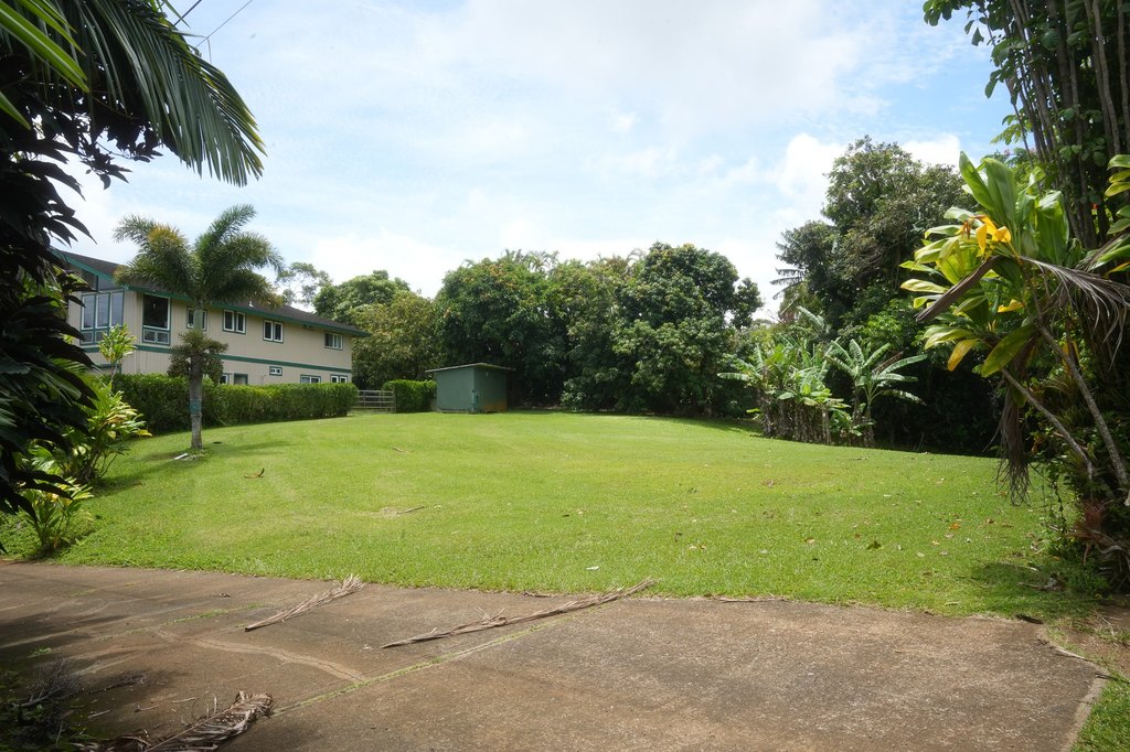 Picture 5