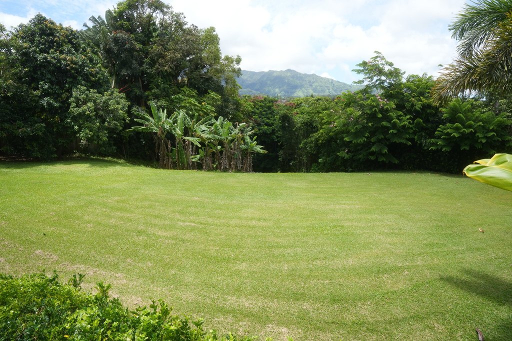 Picture 7