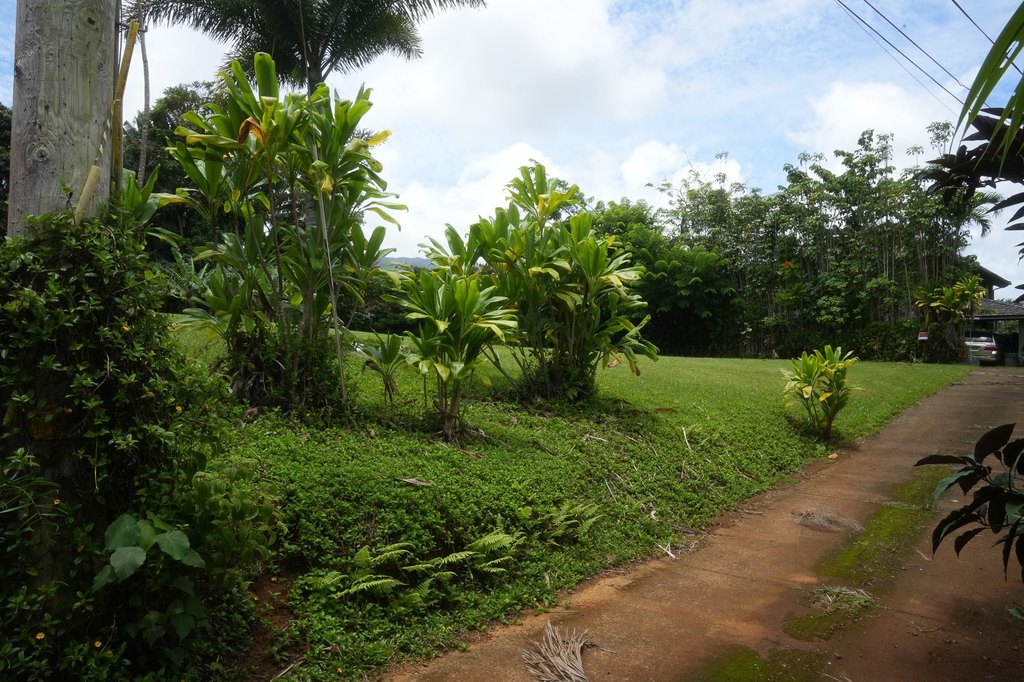 Picture 4