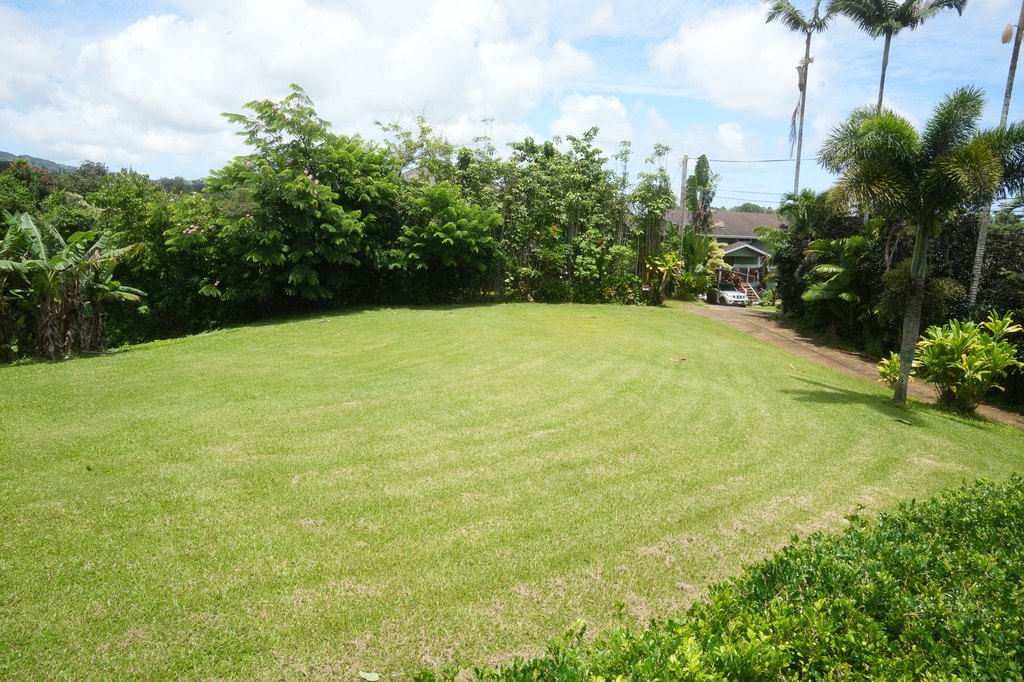 Picture 13