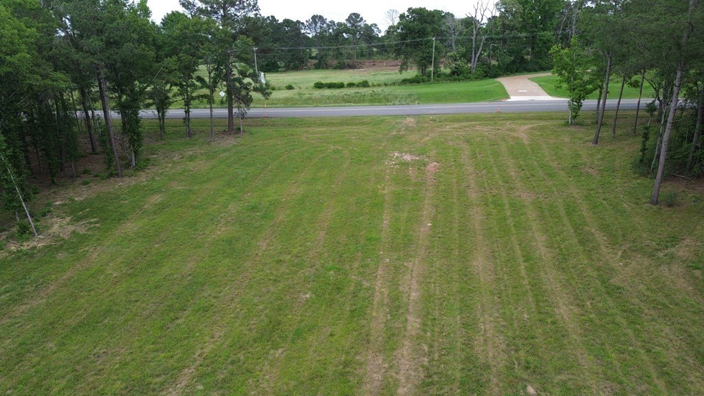 Picture 11