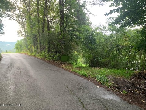 Townsend Land Near River