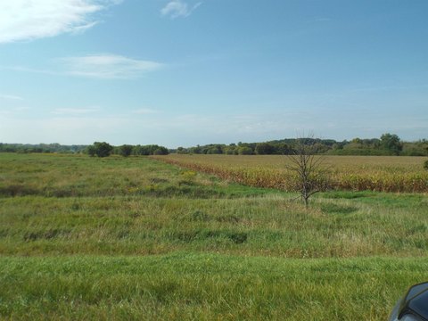 Land Parcel Near Orangeville, IL