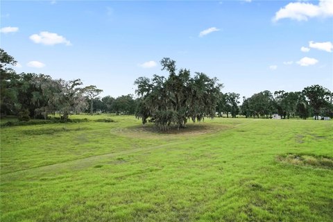 Land, DADE CITY, FL