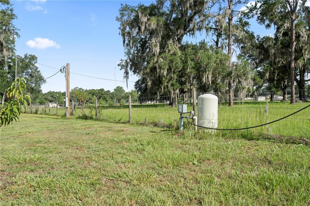 Picture 20