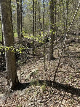LAND - Sparrowbush, NY