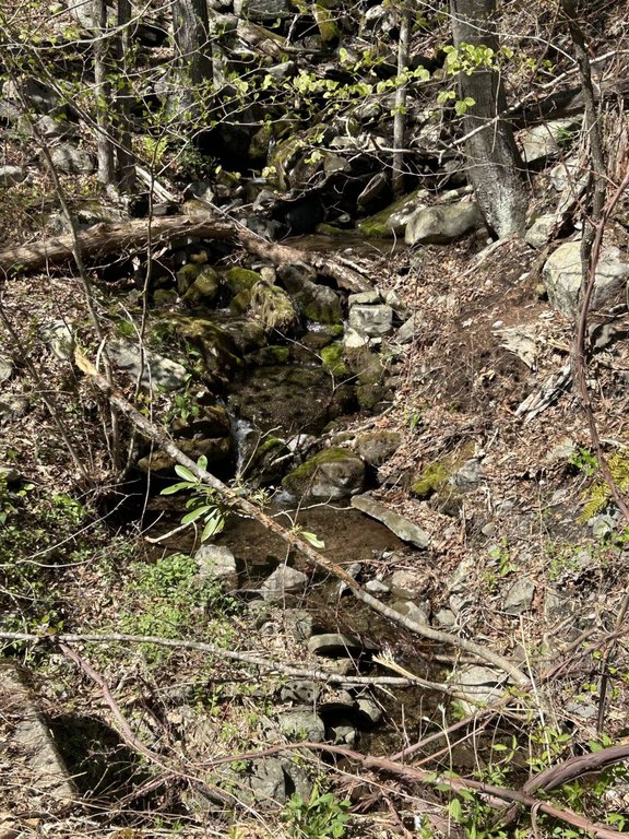 Picture 8