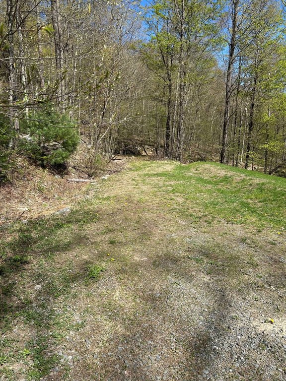 Picture 21