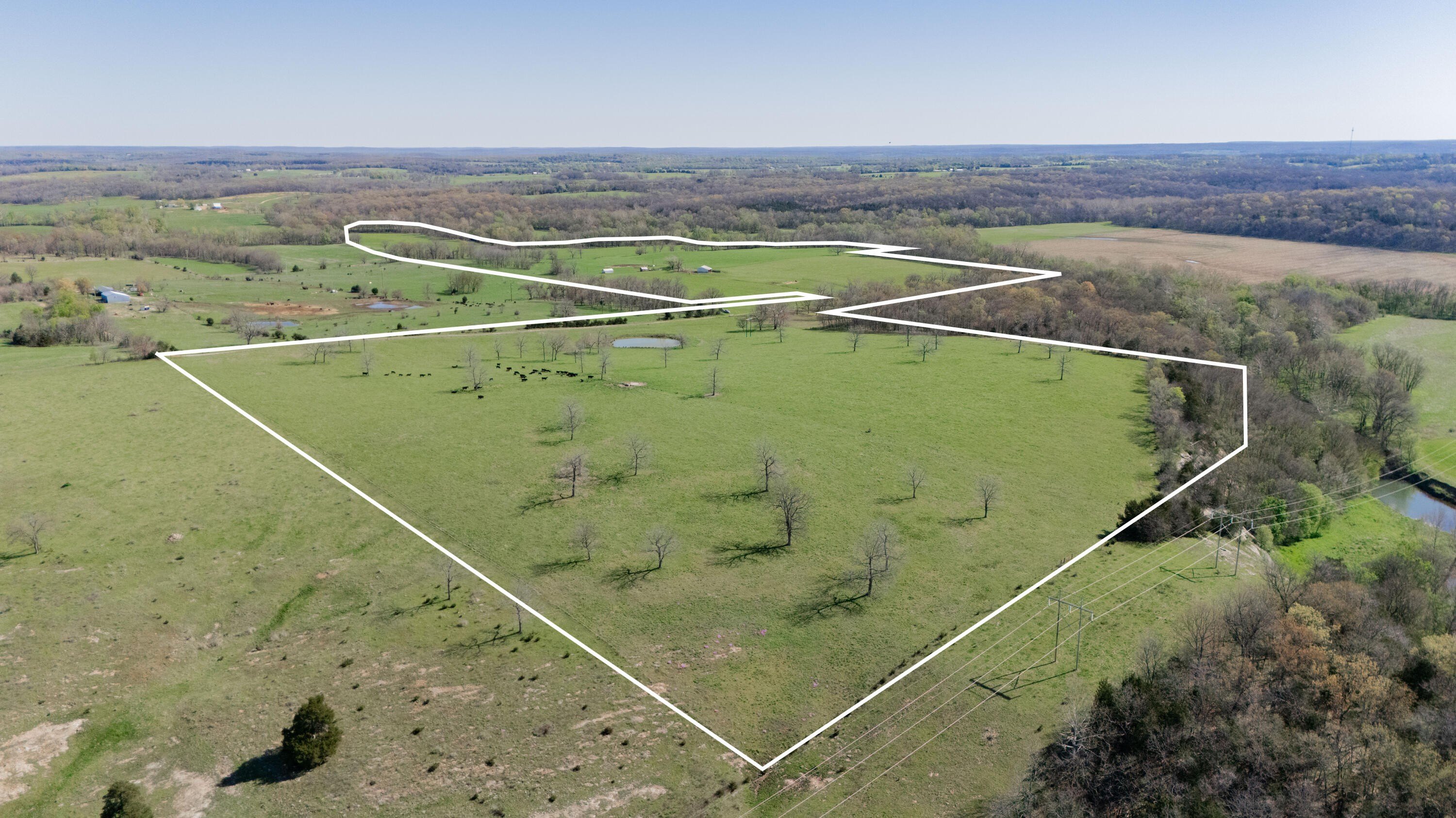 Stockton, MO Cattle Ground