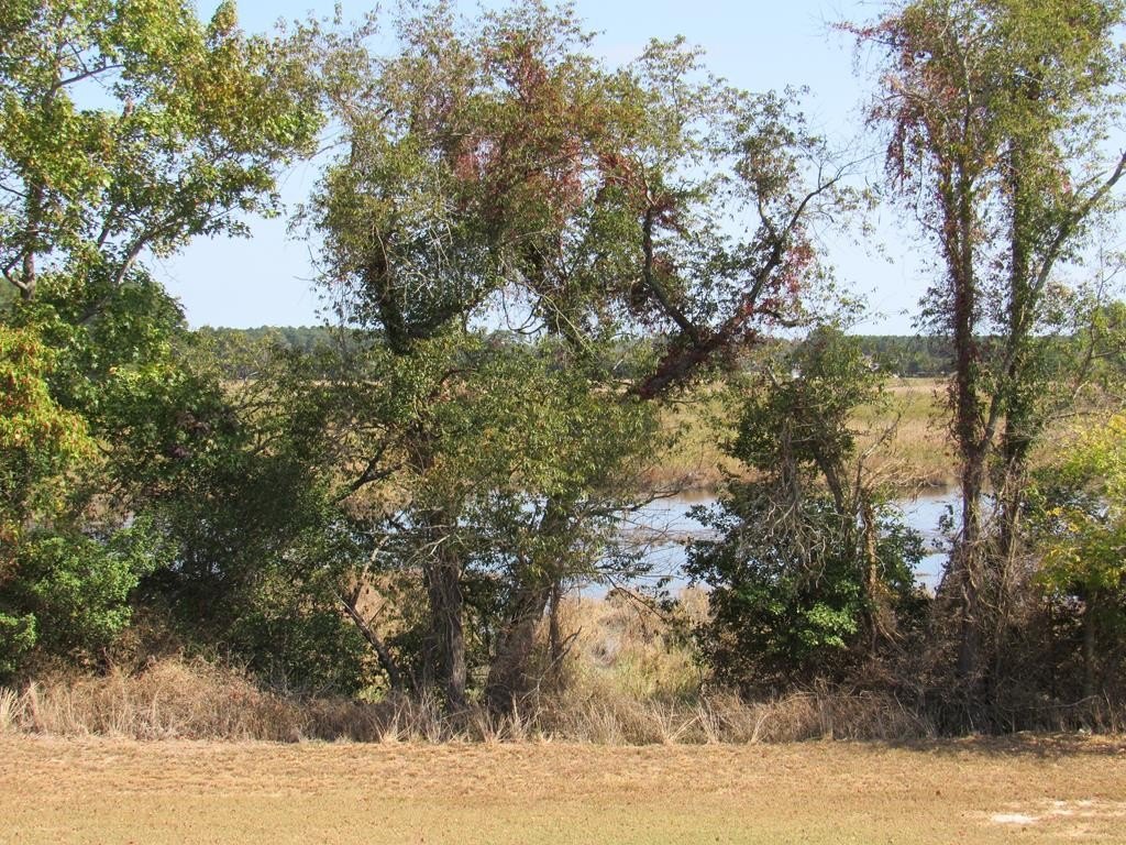 Picture 2