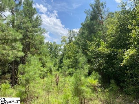 LAND - Eastover, SC