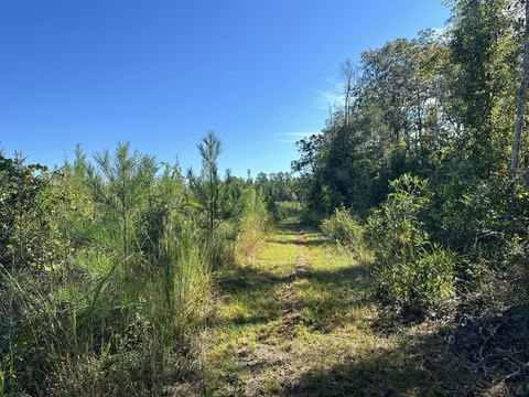 10 AC Land Parcel
