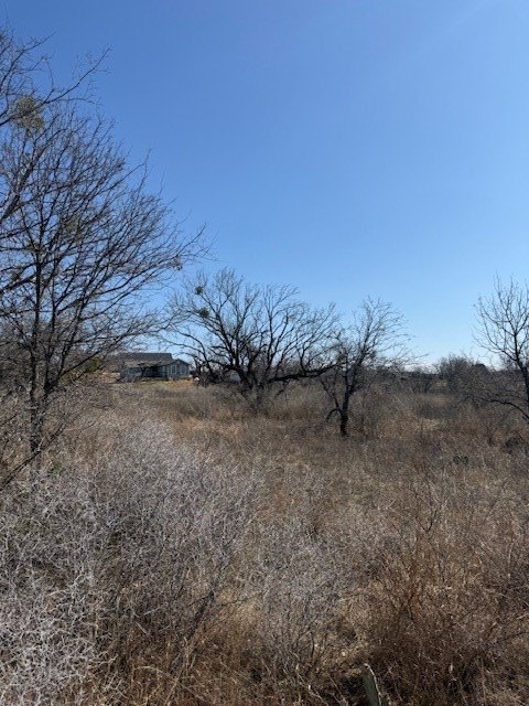 Picture 10
