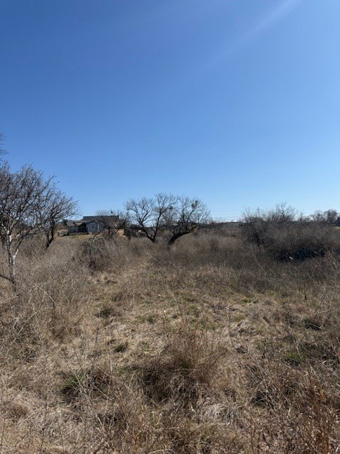Picture 6