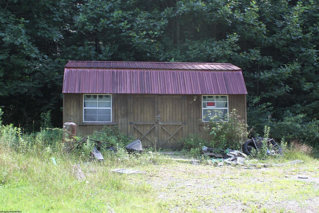 Picture 6